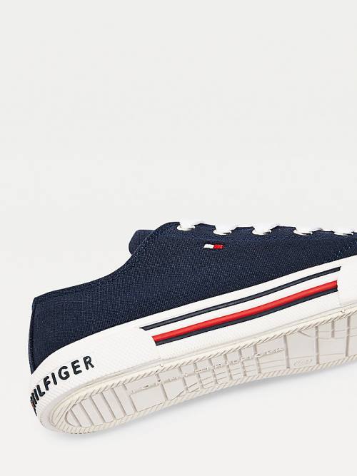 Djevojčice Tommy Hilfiger Cotton Canvas Lace-Up Low-Top Patike Plava | TH637ENU