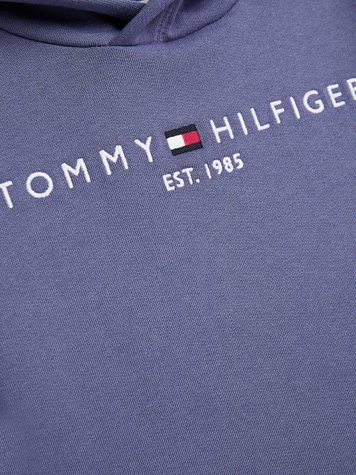 Djevojčice Tommy Hilfiger Essential Logo Duks Hoodie Plava | TH541FGJ