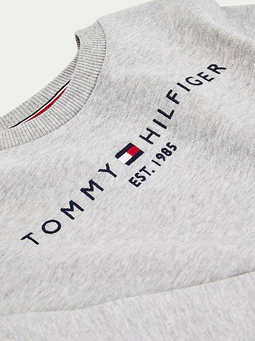 Djevojčice Tommy Hilfiger Essential Logo Duksevi Siva | TH689QZF