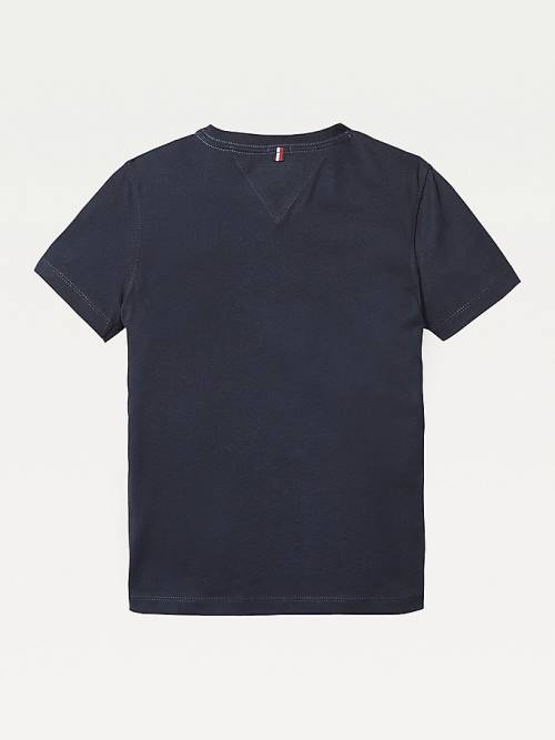 Djevojčice Tommy Hilfiger Organic Cotton V-Neck Majice Plava | TH075TNH