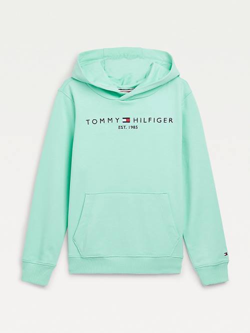 Dječake Tommy Hilfiger Essential Logo Duks Hoodie Zeleno | TH569QDP