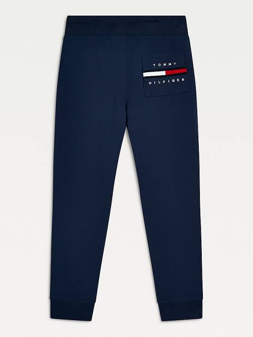 Dječake Tommy Hilfiger Logo Embroidery Organic Cotton Joggers Pantalone Plava | TH416MSY