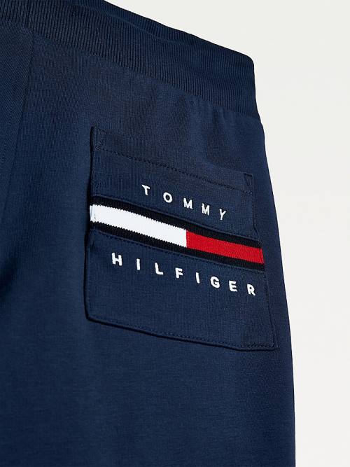 Dječake Tommy Hilfiger Logo Embroidery Organic Cotton Joggers Pantalone Plava | TH416MSY