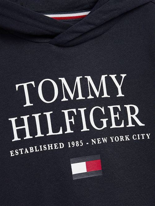 Dječake Tommy Hilfiger Organic Cotton Logo Duks Hoodie Plava | TH507MJF