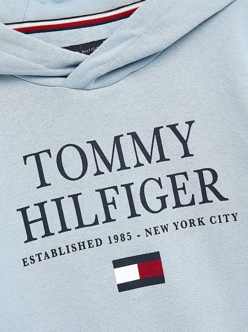 Dječake Tommy Hilfiger Organic Cotton Logo Duks Hoodie Plava | TH967OJR