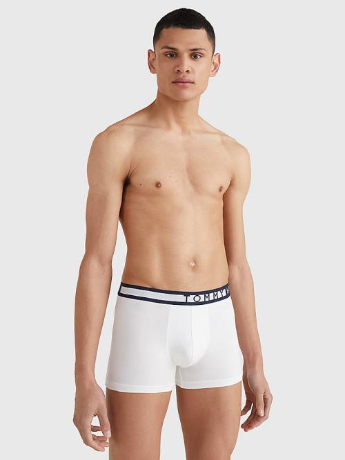 Muške Tommy Hilfiger 3-Pack Statement Waistband Trunks Donji veš Šarena | TH437YAI