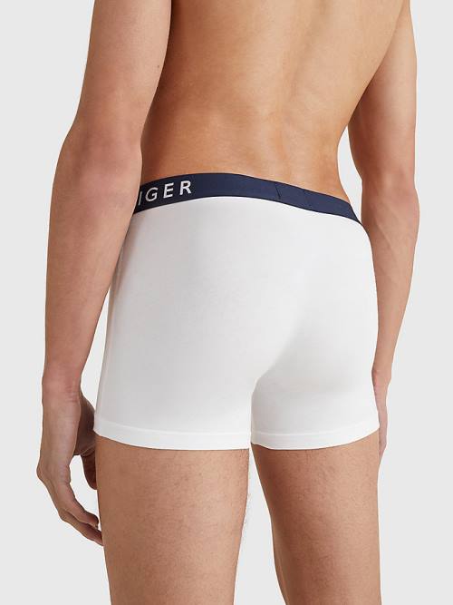 Muške Tommy Hilfiger 3-Pack Statement Waistband Trunks Donji veš Šarena | TH437YAI