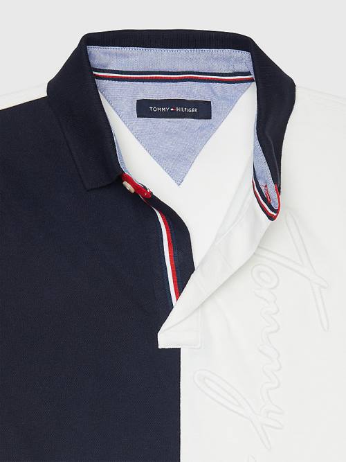 Muške Tommy Hilfiger Adaptive Colour-Blocked Slim Fit Polo Majice Šarena | TH937QGV