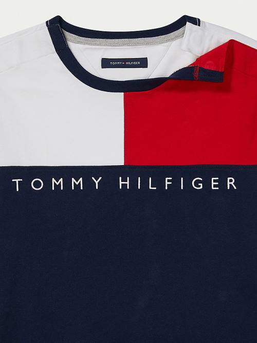 Muške Tommy Hilfiger Adaptive Flag Pure Cotton Majice Šarena | TH879IVP