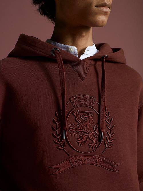 Muške Tommy Hilfiger Crest Embroidery Organic Cotton Duks Hoodie Braon | TH489OKH