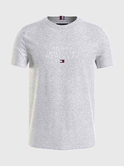 Muške Tommy Hilfiger Graphic Logo Majice Siva | TH431IGR