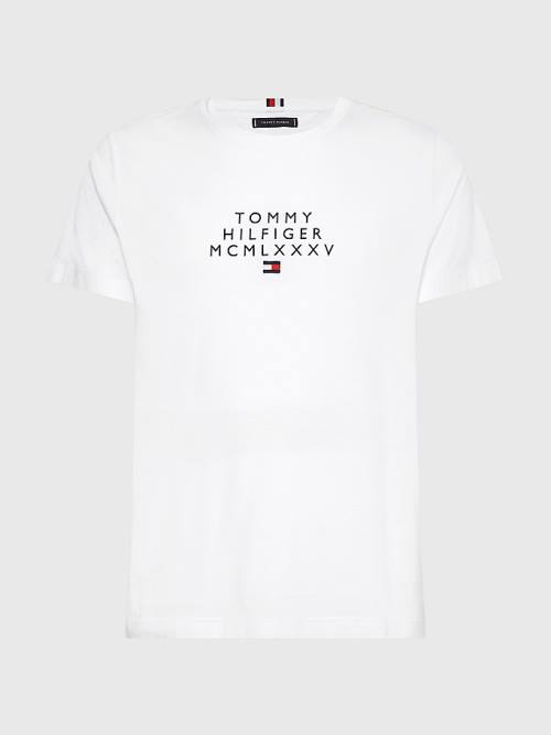 Muške Tommy Hilfiger Graphic Logo Majice Bela | TH916AHB