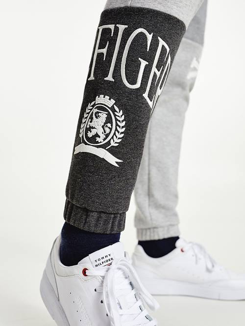 Muške Tommy Hilfiger Icons Colour-Blocked Crest Joggers Pantalone Siva | TH537GNF