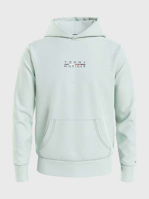 Muške Tommy Hilfiger Logo Embroidery Duks Hoodie Zeleno | TH528HVX