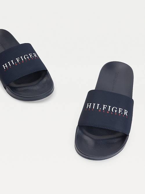 Muške Tommy Hilfiger Logo Slides Sandale Plava | TH829SYA