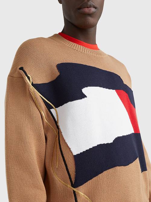 Muške Tommy Hilfiger Motion Flag Crew Neck Jumper Džemper Braon | TH286VBW