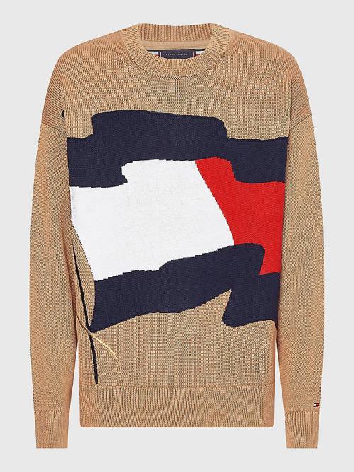 Muške Tommy Hilfiger Motion Flag Crew Neck Jumper Džemper Braon | TH286VBW