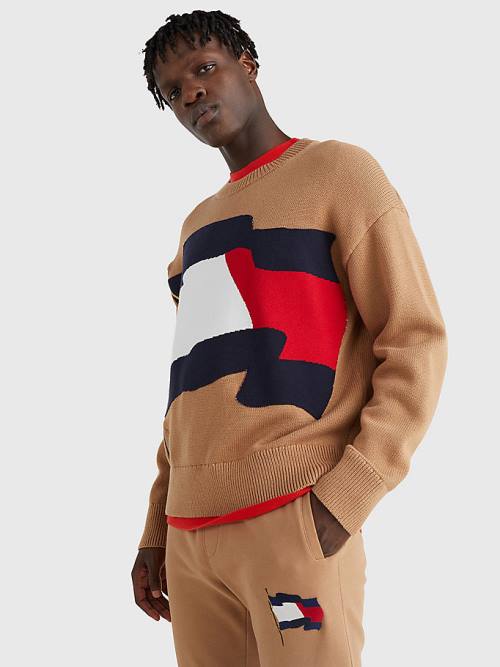 Muške Tommy Hilfiger Motion Flag Crew Neck Jumper Džemper Braon | TH286VBW