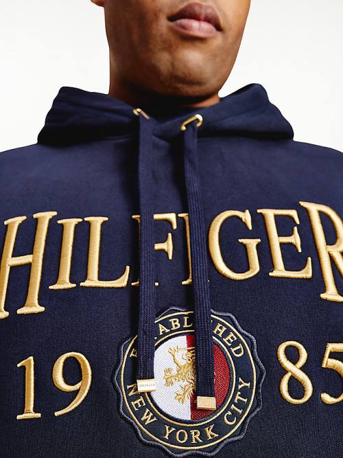 Muške Tommy Hilfiger Plus Icons Logo Embroidery Relaxed Fit Duks Hoodie Plava | TH278DFT