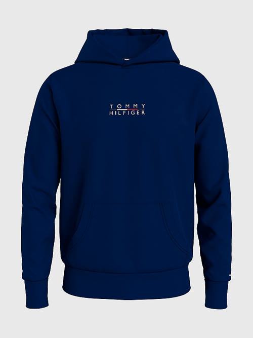 Muške Tommy Hilfiger Plus Logo Embroidery Duks Hoodie Plava | TH162MQR