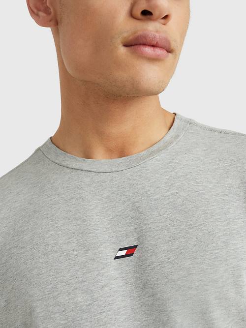 Muške Tommy Hilfiger Sport Organic Cotton Motion Flag Majice Siva | TH615ZNT