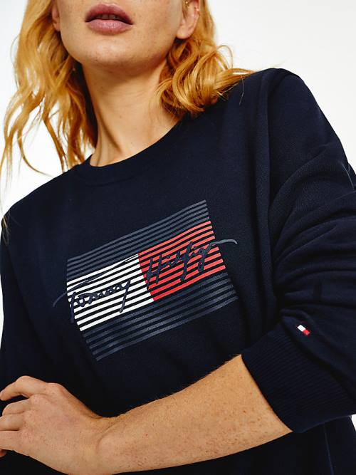 Ženske Tommy Hilfiger Organic Cotton Signature Logo Duksevi Plava | TH938UCJ