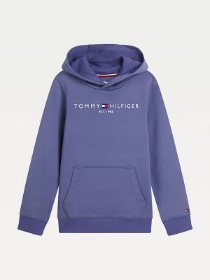 Djevojčice Tommy Hilfiger Essential Logo Duks Hoodie Plava | TH541FGJ