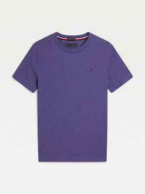 Dječake Tommy Hilfiger Essential Organic Cotton Majice Plava | TH689RGV