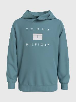 Dječake Tommy Hilfiger Flag Logo Duks Hoodie Plava | TH127OIT