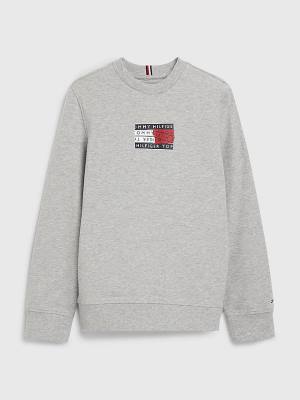 Dječake Tommy Hilfiger Graphic Tape Logo Duksevi Siva | TH956RIF