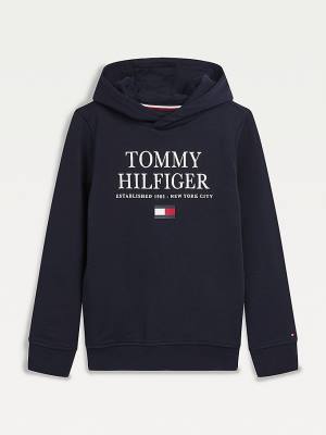 Dječake Tommy Hilfiger Organic Cotton Logo Duks Hoodie Plava | TH507MJF