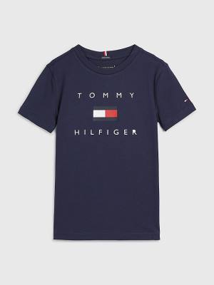 Dječake Tommy Hilfiger Organic Cotton Logo Majice Plava | TH569SFE