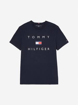 Muške Tommy Hilfiger Adaptive Pure Cotton Logo Majice Plava | TH906VAI