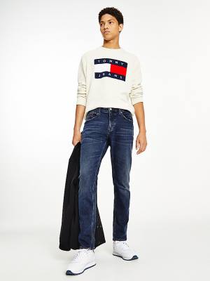 Muške Tommy Hilfiger Austin Slim Tapered Farmerke Denim Plava | TH367HXV