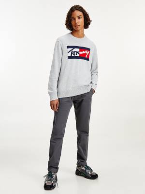 Muške Tommy Hilfiger Crew Neck Relaxed Fit Jumper Džemper Siva | TH923APJ