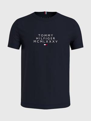 Muške Tommy Hilfiger Graphic Logo Majice Plava | TH048PGS