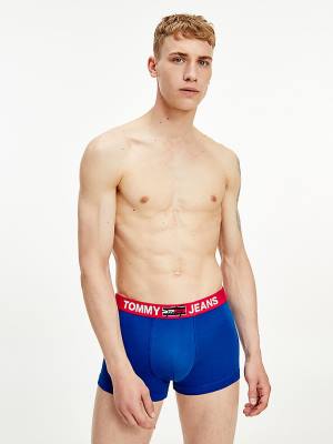 Muške Tommy Hilfiger Logo Waistband Trunks Donji veš Plava | TH568BVC