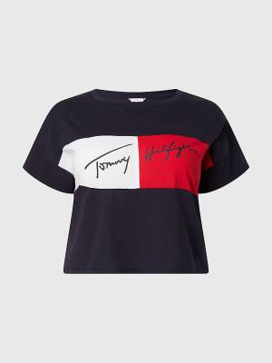 Ženske Tommy Hilfiger Curve Colour-Blocked Cropped Kupaći Kostimi Plava | TH215GBA