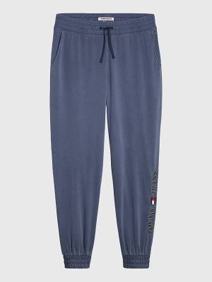 Ženske Tommy Hilfiger Curve Relaxed Fit Logo Joggers Pantalone Plava | TH834UQF