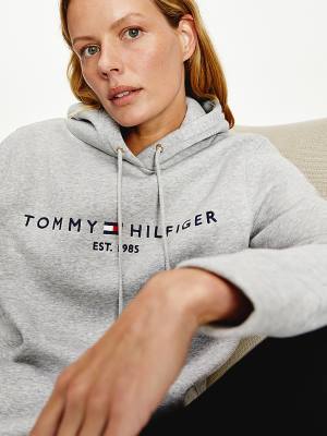 Ženske Tommy Hilfiger Essential Logo Duks Hoodie Siva | TH360GTB